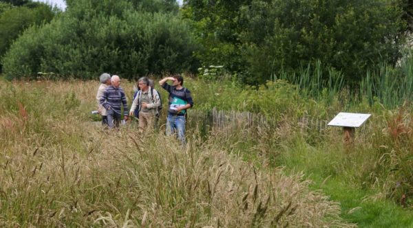 Atelier Nature en ville Melesse 2018