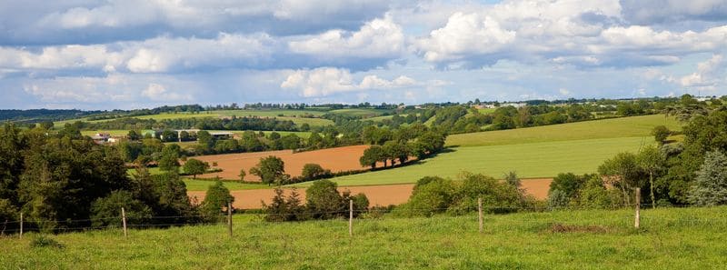 Campagne Et Prairie En France
