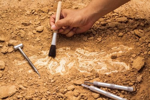 recherche archéologique